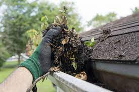 Professional gutter cleaning will protect your home from water damage and eliminate your chance of injury.