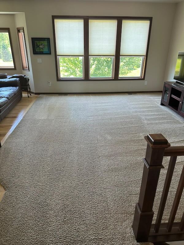 carpet cleaning house