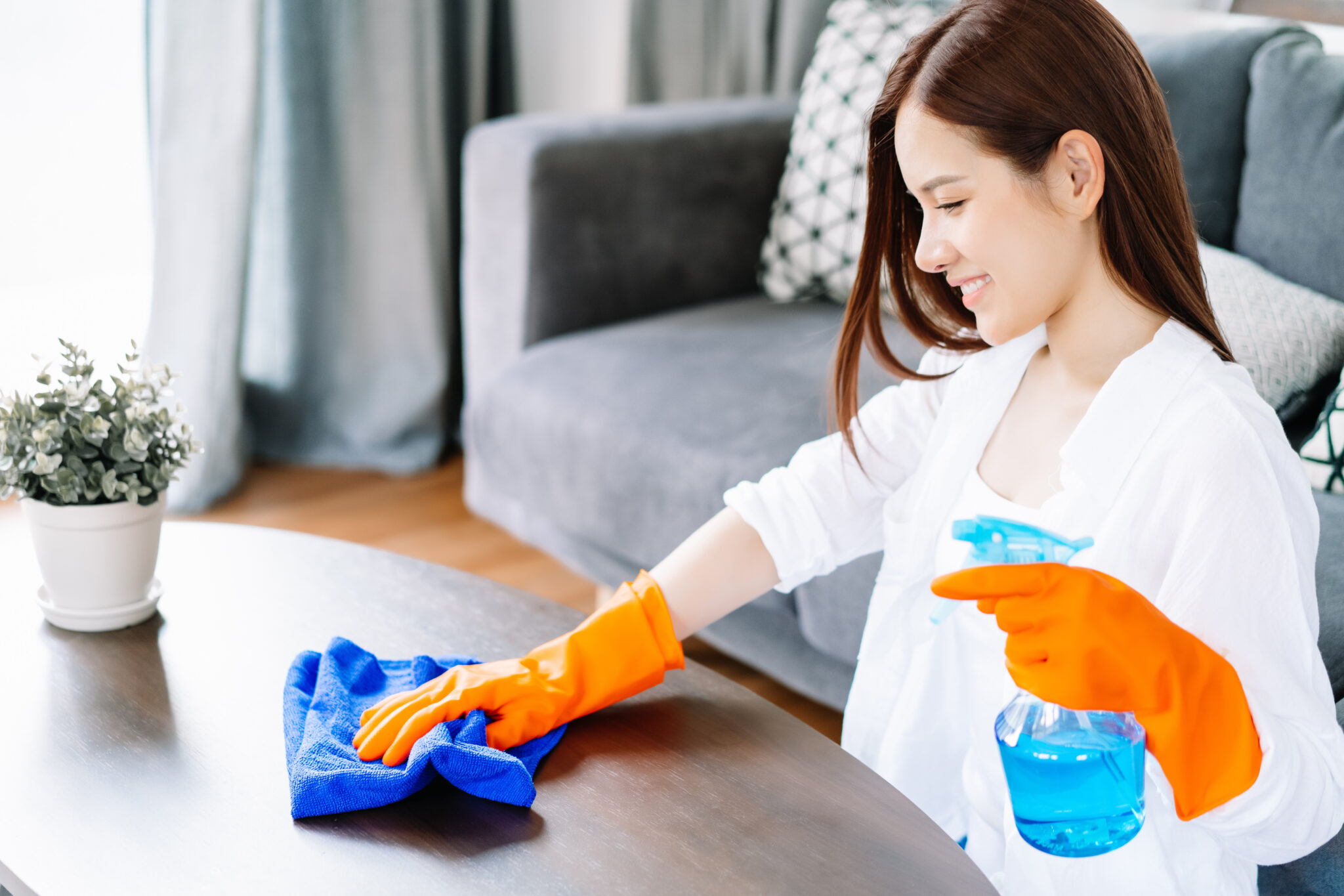 Professional Residential Cleaning in Apple Valley, MN
