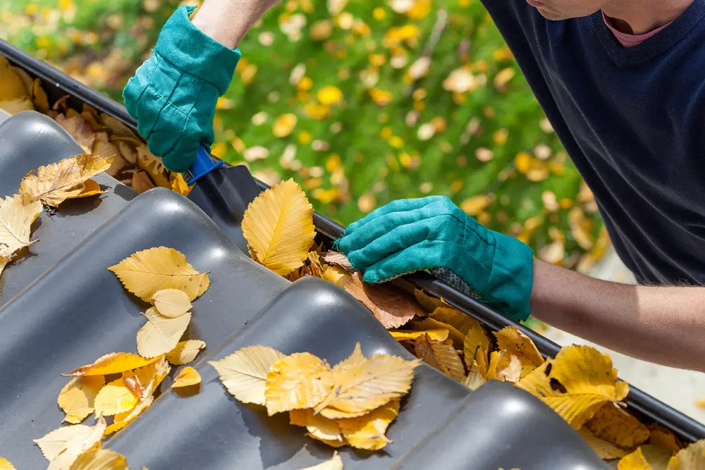 Water stains on the siding near your gutters
