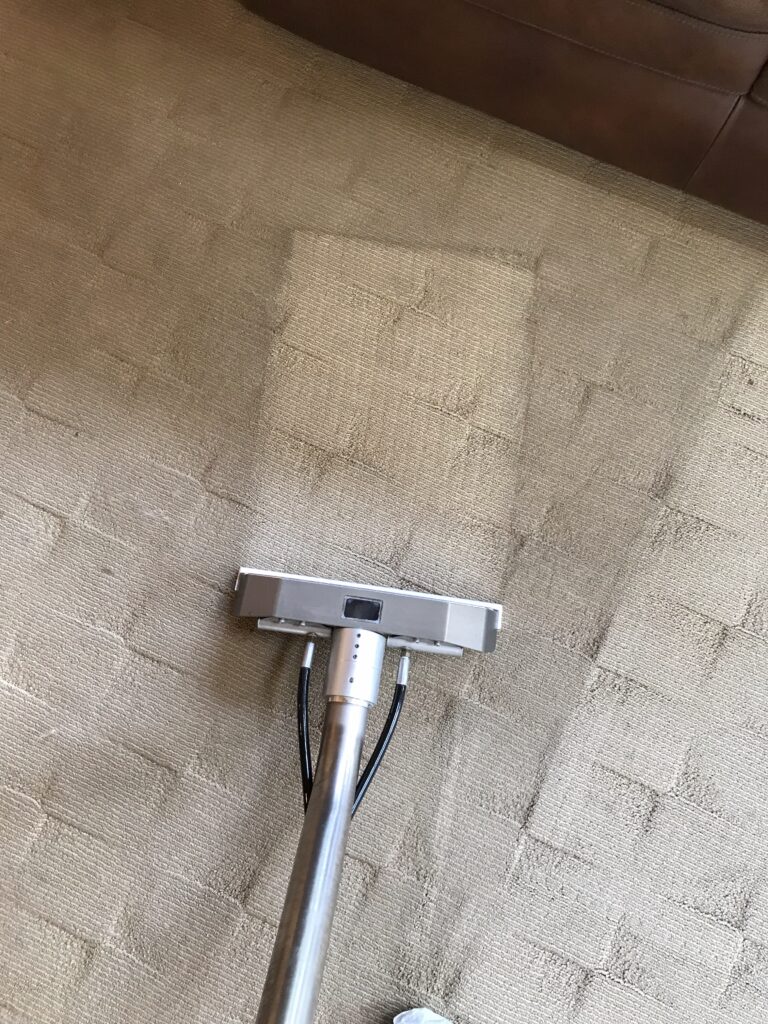 Carpet Line (3)