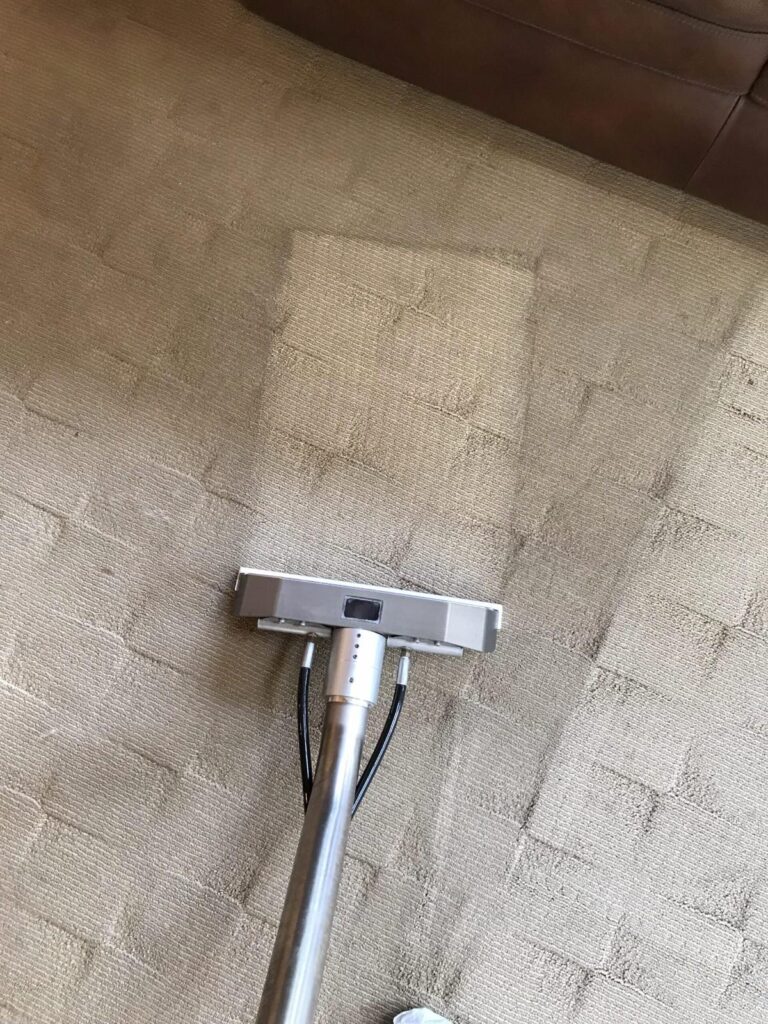 Carpet-Line-3-scaled (1)