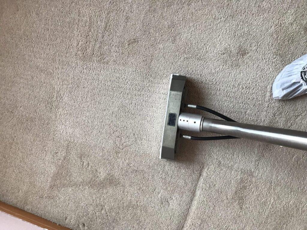 Carpet-Line-6-2-scaled (1)