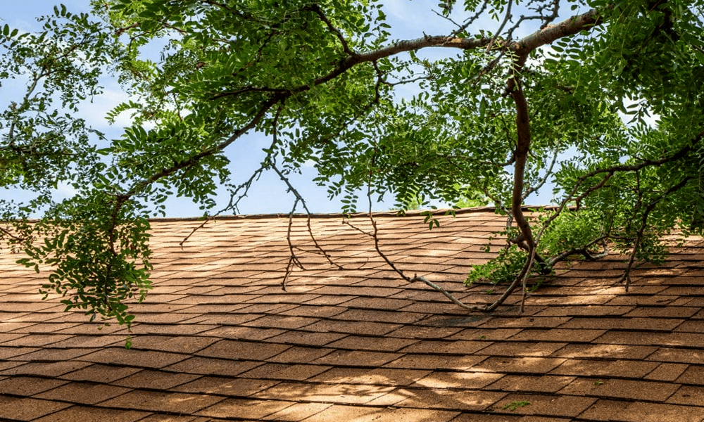 Homes with overhanging trees