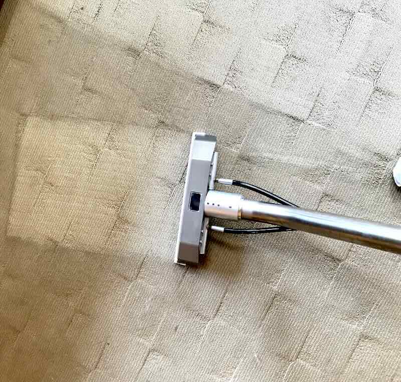 carpet cleaning twin cities