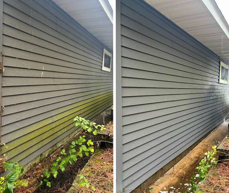 house siding