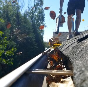 gutter cleaning twin cities