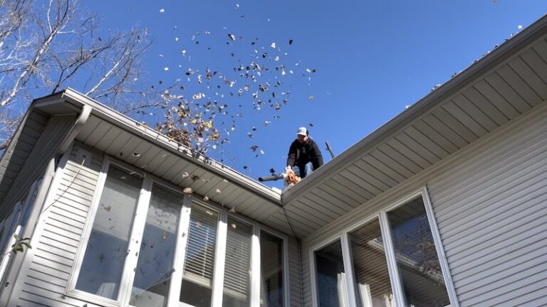 gutter cleaning minnesota