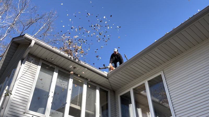 gutter cleaning minnesota