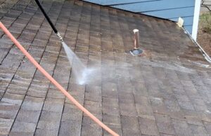 soft washing roof