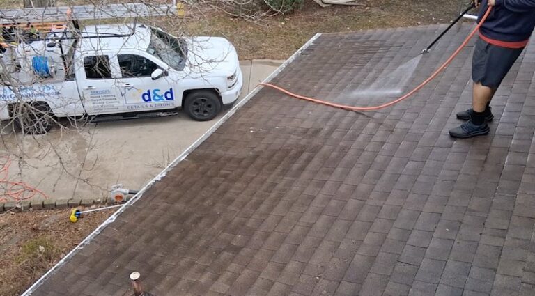 roof washing twin cities