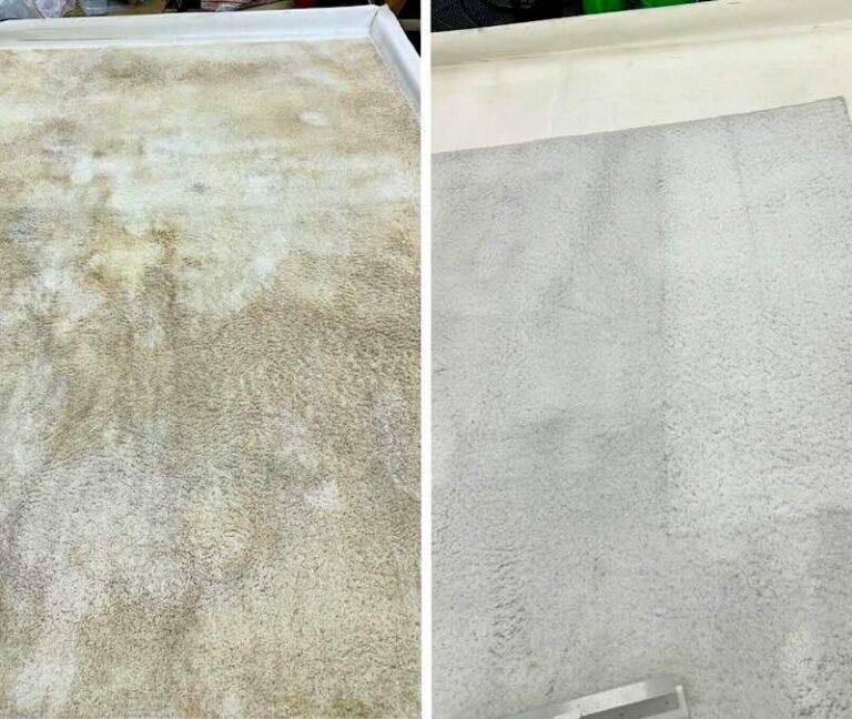 Rug cleaning in the Twin Cities
