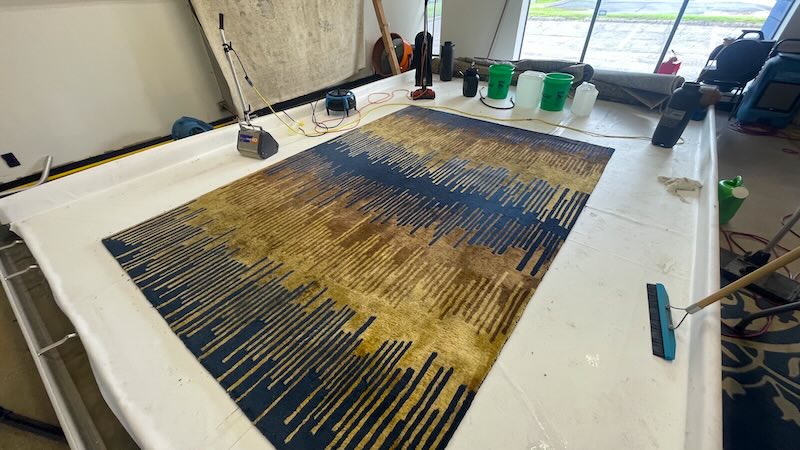 rug4